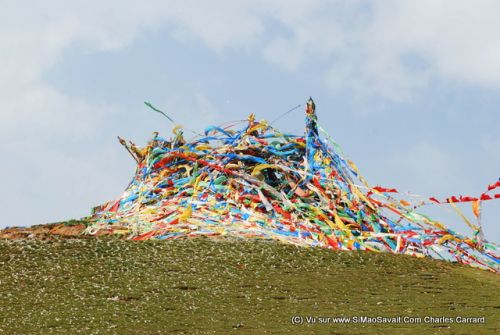 lac qinghai (2).JPG